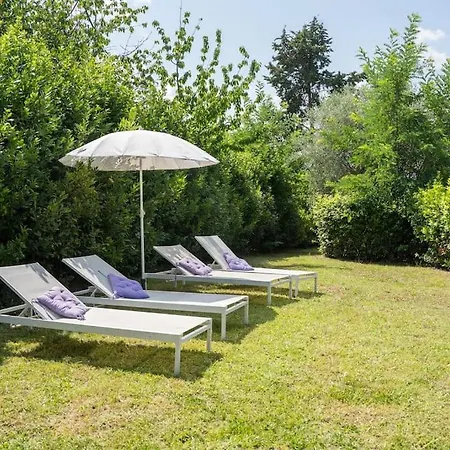 Loft Rustico Toscano: Natura E Relax Apartment *