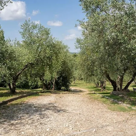 Loft Rustico Toscano: Natura E Relax Apartment