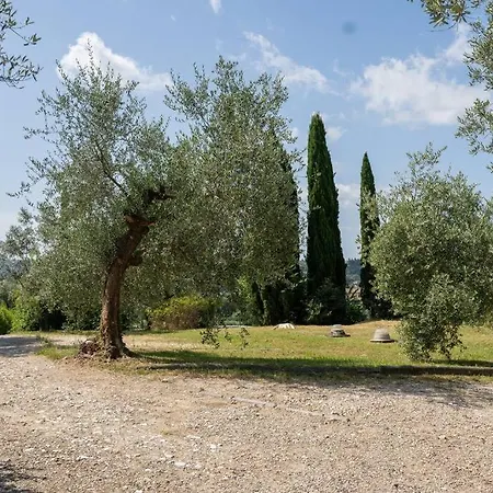 Loft Rustico Toscano: Natura E Relax Apartment *