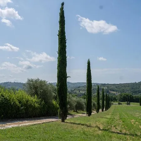 Loft Rustico Toscano: Natura E Relax *